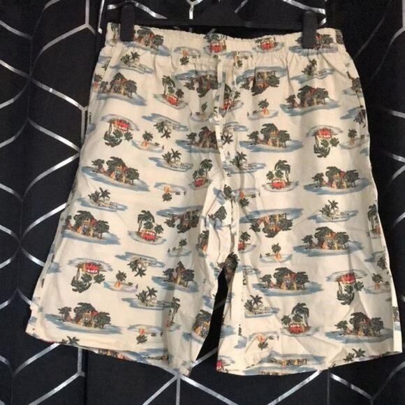 New Authentic Bottega Veneta Tropical Print Men's Swim Shorts size 48 - Picture 4 of 14